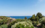 Maison en location vacances à Bonifacio — Vue mer — photo 1