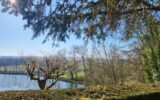 Maison à vendre à Limanton — Vue montagne — photo 24