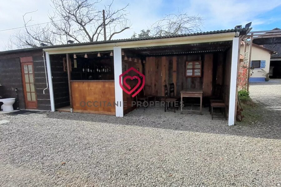 Maison à vendre à Riscle — Vue montagne — photo 25