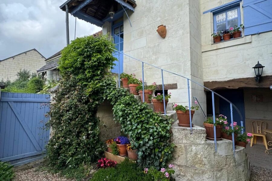 Maison à vendre à Chouzé-sur-Loire — Vue nature — photo 4