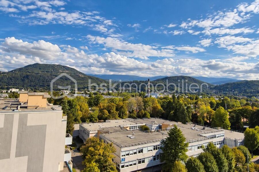 Appartement à vendre à Échirolles — Vue montagne — photo 9
