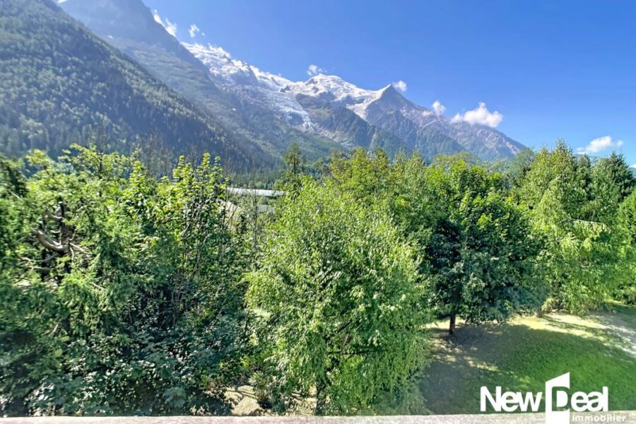 Appartement à vendre à Chamonix-Mont-Blanc — Vue montagne — photo 9