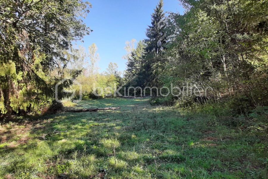 Terrain à vendre à Chaillac-sur-Vienne — Vue lac — photo 9