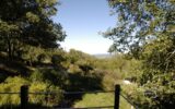 Maison à vendre à Loubressac — Vue nature — photo 9