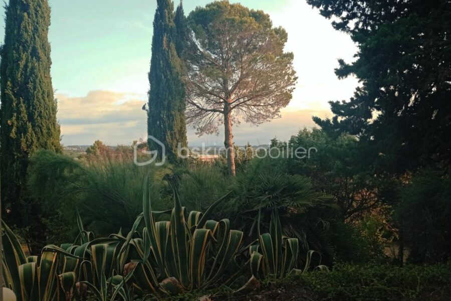 Maison à vendre à Maraussan — Vue nature — photo 9