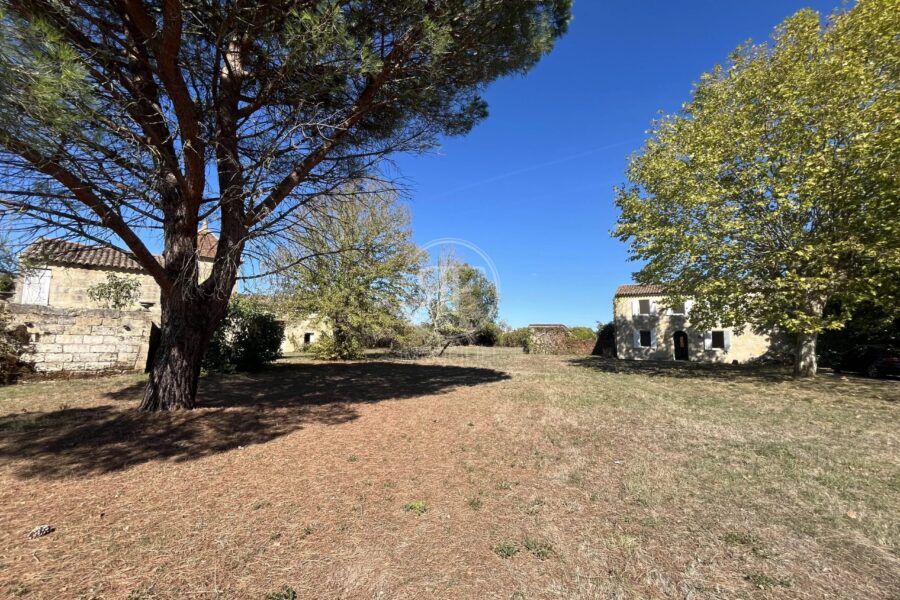 Maison à vendre à Les Artigues-de-Lussac — Vue nature — photo 34