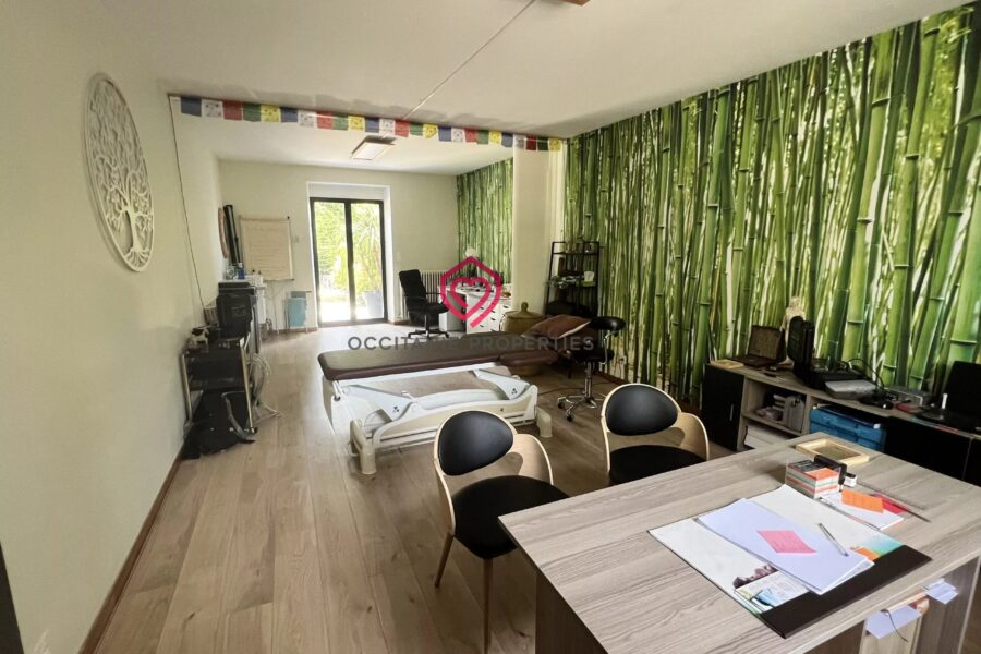 Maison à vendre à Castelnaudary — Vue montagne — photo 29
