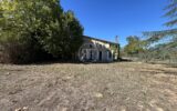 Maison à vendre à Les Artigues-de-Lussac — Vue nature — photo 21
