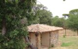 Maison à vendre à La Garde-Freinet — Vue montagne — photo 20
