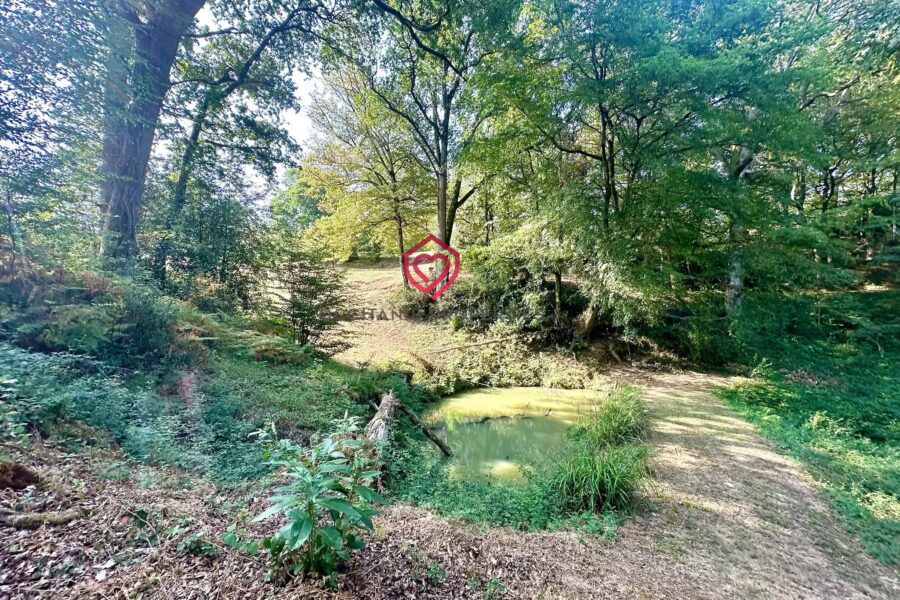 Maison à vendre à Miélan — Vue nature — photo 9