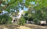 Maison à vendre à Saint-Savinien — Vue parc & jardin — photo 20
