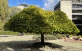 Appartement à vendre à Versailles — Vue nature — photo 21