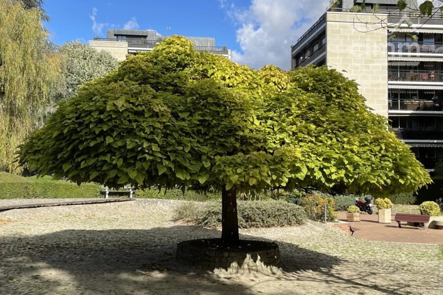 Appartement à vendre à Versailles — Vue nature — photo 21