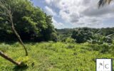 Terrain à vendre à Sainte-Luce — Vue nature — photo 8