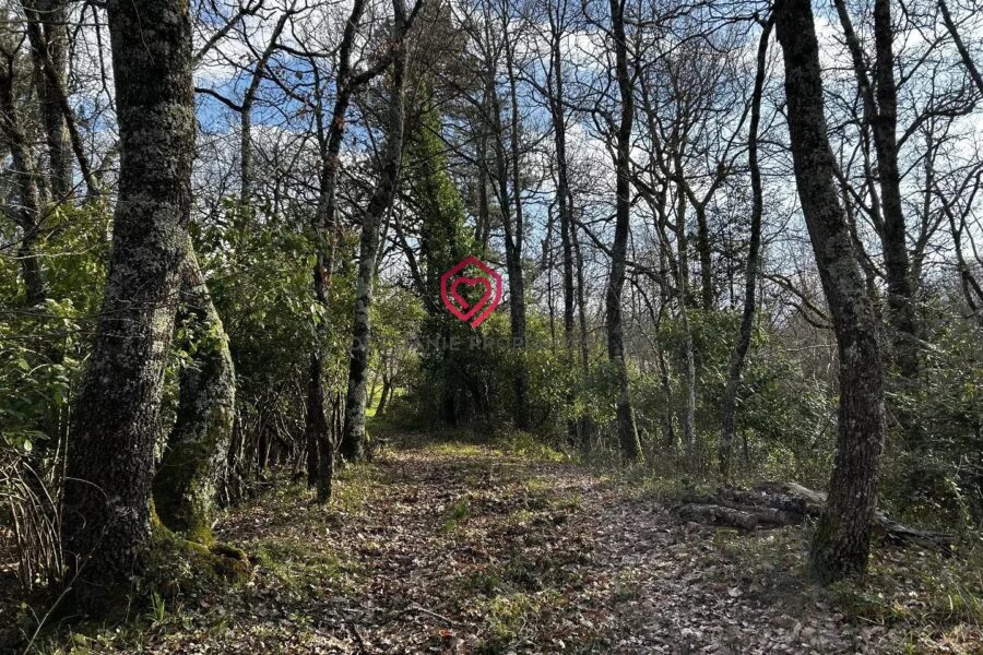 Maison à vendre à Belvèze-du-Razès — Vue montagne — photo 22