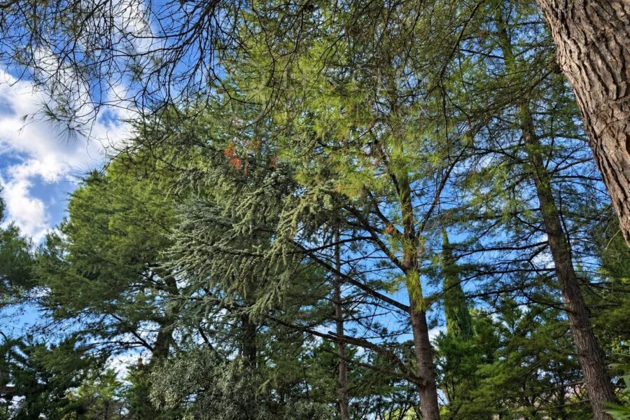 Maison à vendre à Lagnes — Vue nature — photo 25