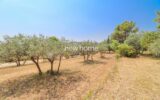 Maison à vendre à Seillans — Vue nature — photo 17