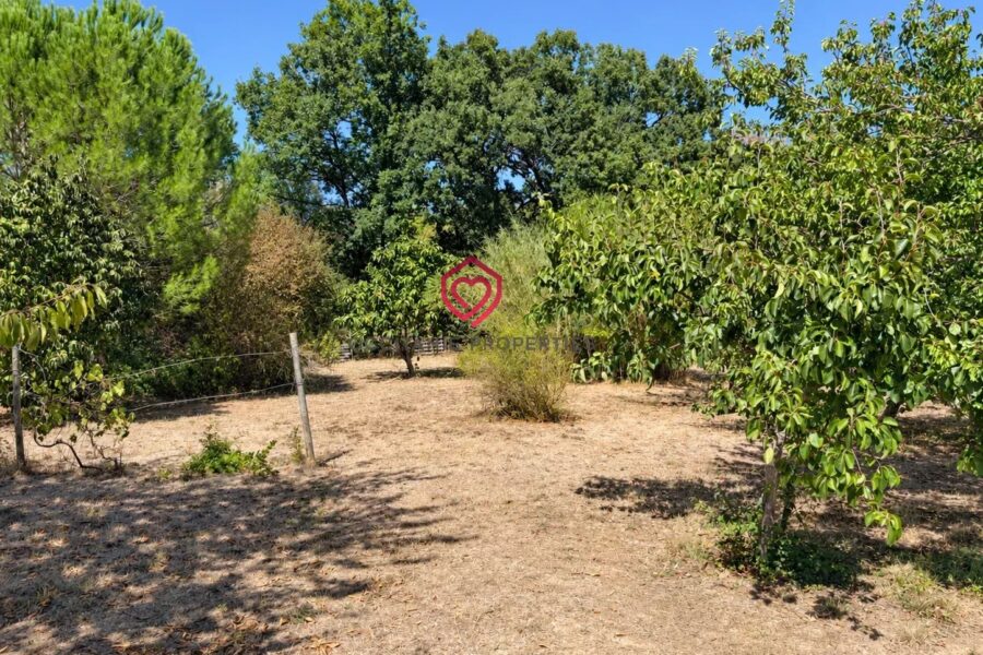 Maison à vendre à Belvèze-du-Razès — Vue parc & jardin — photo 33