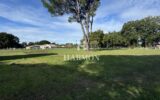 Maison à vendre à Magescq — Vue parc & jardin — photo 12