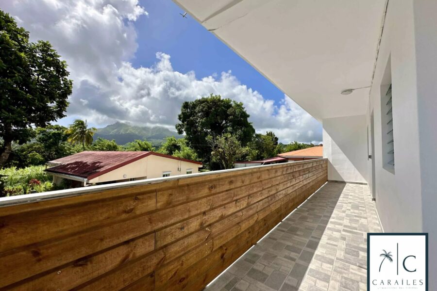 Maison à vendre à Le Morne-Rouge — Vue nature — photo 6