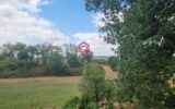 Maison à vendre à Mirande — Vue nature — photo 1