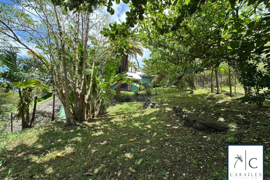 Maison à vendre à Le Carbet — Vue mer — photo 43