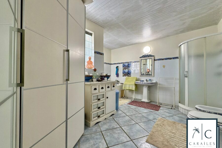 Maison à vendre à Le Robert — Vue nature — photo 17