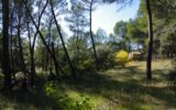 Maison à vendre à Villecroze — Vue nature — photo 1