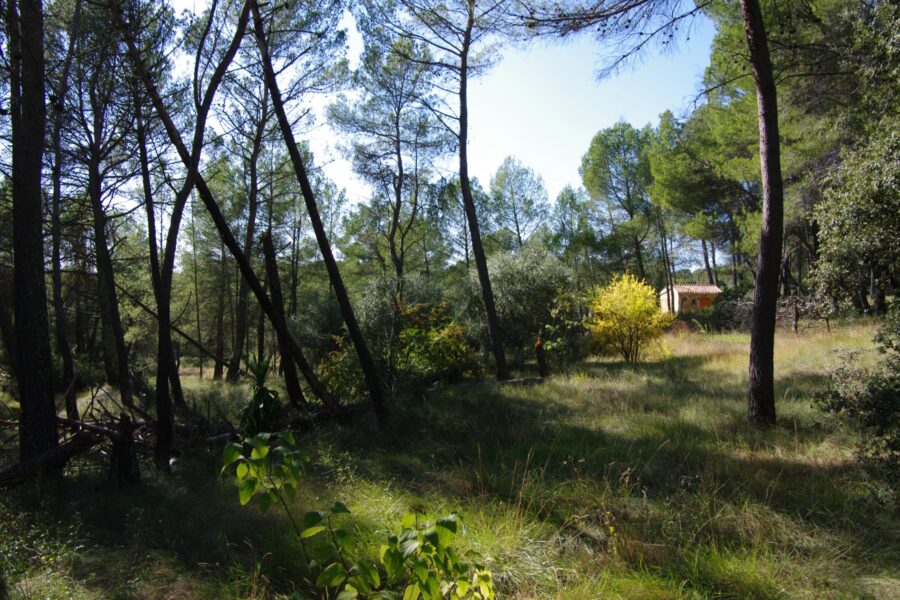 Maison à vendre à Villecroze — Vue nature — photo 1