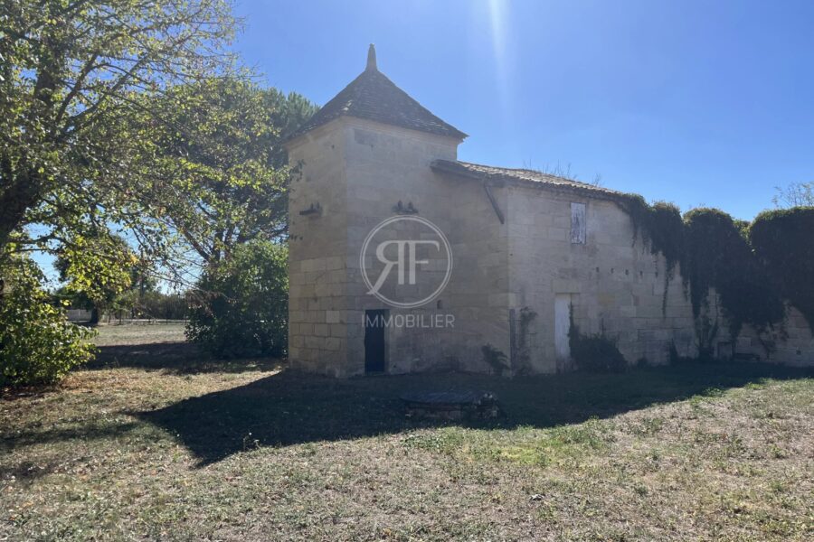 Maison à vendre à Les Artigues-de-Lussac — Vue nature — photo 27
