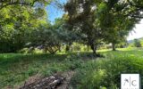 Terrain à vendre à Le François — photo 8
