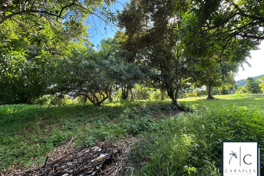 Terrain à vendre à Le François — photo 8
