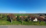 Maison à vendre à Villemanoche — Vue nature — photo 20