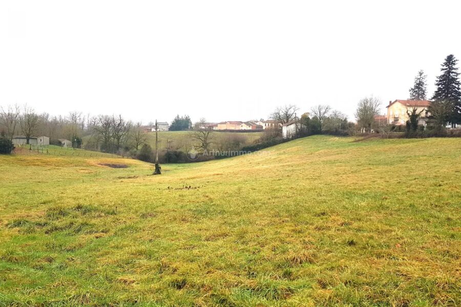 Maison à vendre à Teillet — Vue nature — photo 1