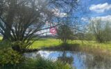 Maison à vendre à Loussous-Débat — Vue nature — photo 1