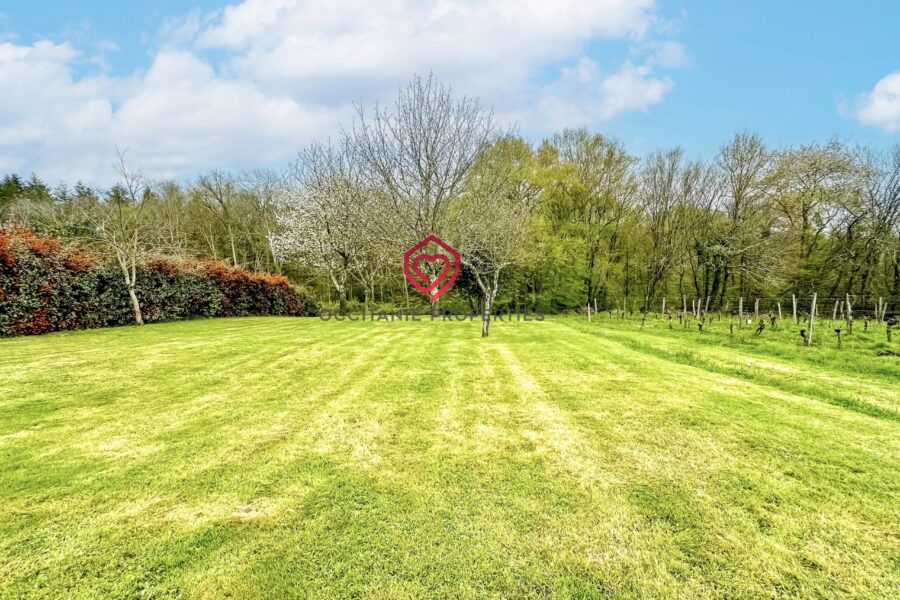 Maison à vendre à Madiran — Vue nature — photo 32