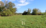 Maison à vendre à Sauveterre-de-Béarn — Vue montagne — photo 8