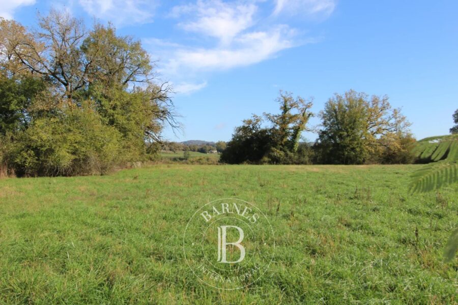 Maison à vendre à Sauveterre-de-Béarn — Vue montagne — photo 8
