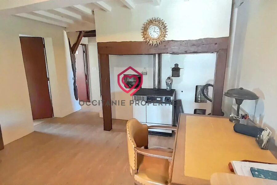 Maison à vendre à Riscle — Vue montagne — photo 22