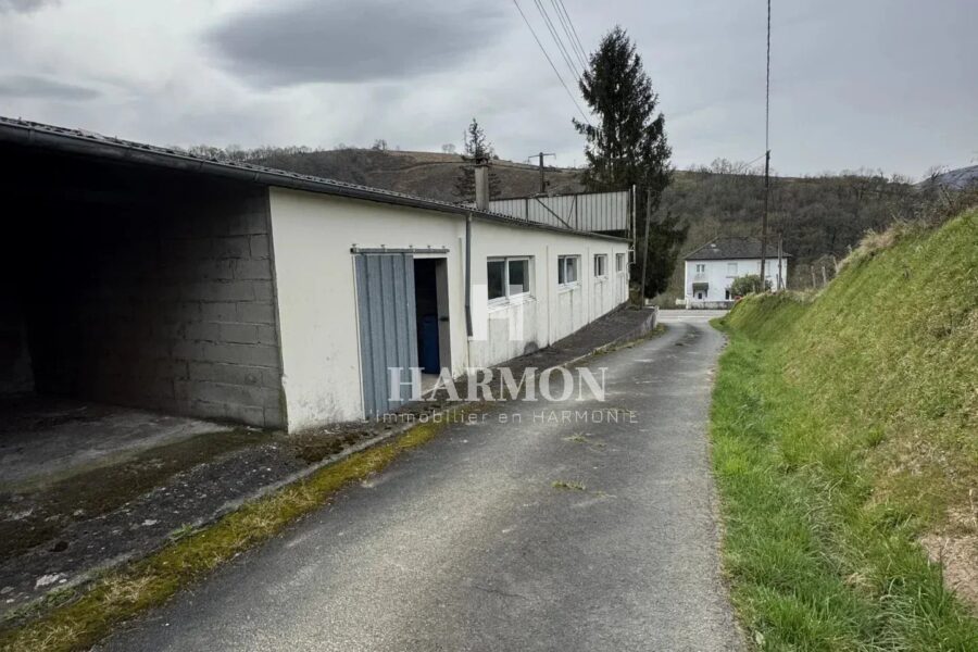 Maison à vendre à Ordiarp — Vue montagne — photo 14