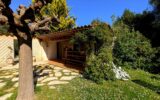 Maison à vendre à Roquefort-les-Pins — Vue nature — photo 7