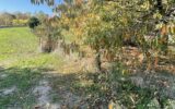 Maison à vendre à Albi — Vue nature — photo 23