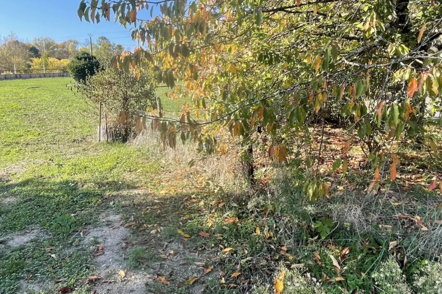 Maison à vendre à Albi — Vue nature — photo 23