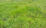 Terrain à vendre à Laboutarie — photo 1