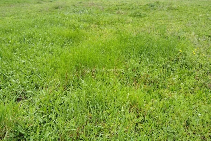 Terrain à vendre à Laboutarie — photo 1