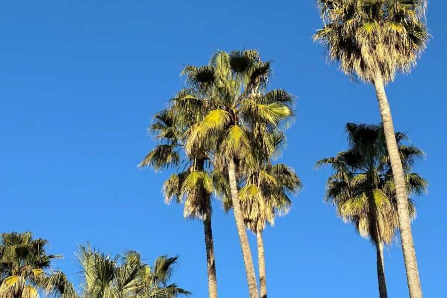 Appartement à vendre à Juan-les-Pins — Vue mer — photo 14