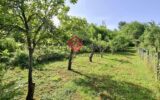 Maison à vendre à Ganac — Vue nature — photo 9