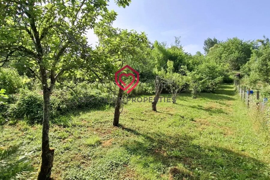 Maison à vendre à Ganac — Vue nature — photo 9