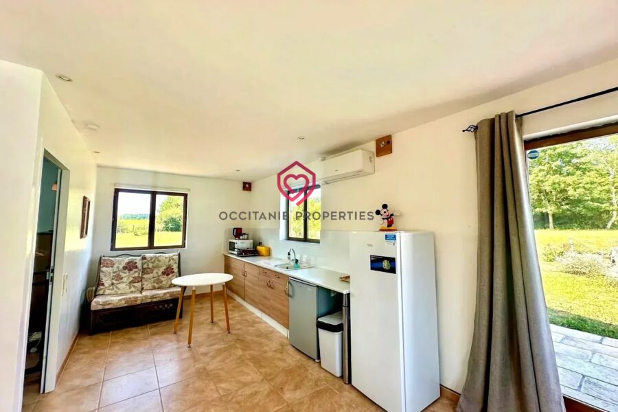 Maison à vendre à Tillac — Vue montagne — photo 19