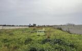 Maison à vendre à Marsala — Vue nature — photo 1